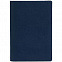 Набор Devon Mini, синий с логотипом в Ставрополе заказать по выгодной цене в кибермаркете AvroraStore