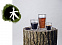 Набор стаканов Elements Wood с логотипом в Ставрополе заказать по выгодной цене в кибермаркете AvroraStore