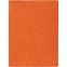 Ежедневник в суперобложке Brave Book, недатированный, оранжевый с логотипом в Ставрополе заказать по выгодной цене в кибермаркете AvroraStore