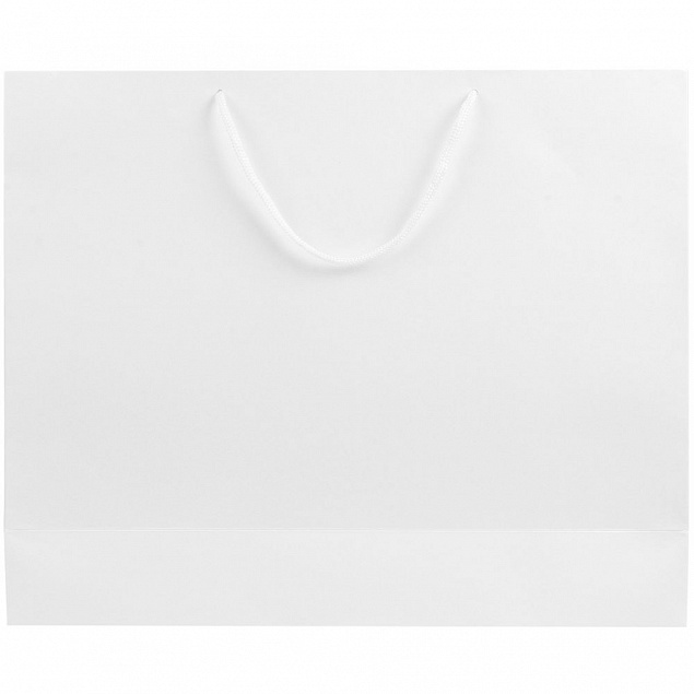 Пакет бумажный «Блеск», большой, белый с логотипом в Ставрополе заказать по выгодной цене в кибермаркете AvroraStore