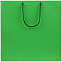 Пакет бумажный Porta, большой, зеленый с логотипом в Ставрополе заказать по выгодной цене в кибермаркете AvroraStore