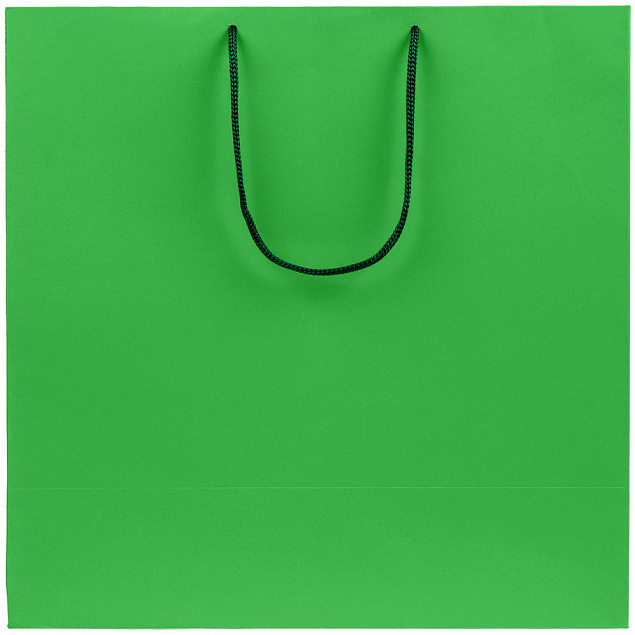 Пакет бумажный Porta, большой, зеленый с логотипом в Ставрополе заказать по выгодной цене в кибермаркете AvroraStore