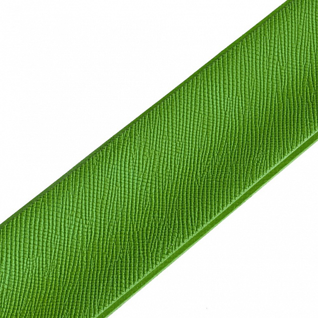 Браслет Wristler, зеленый с логотипом в Ставрополе заказать по выгодной цене в кибермаркете AvroraStore