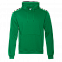 Толстовка Толстовка 20 Зелёный с логотипом в Ставрополе заказать по выгодной цене в кибермаркете AvroraStore