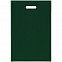 Чехол для пропуска Shall, зеленый с логотипом в Ставрополе заказать по выгодной цене в кибермаркете AvroraStore