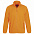 Куртка мужская North, оранжевый неон с логотипом в Ставрополе заказать по выгодной цене в кибермаркете AvroraStore