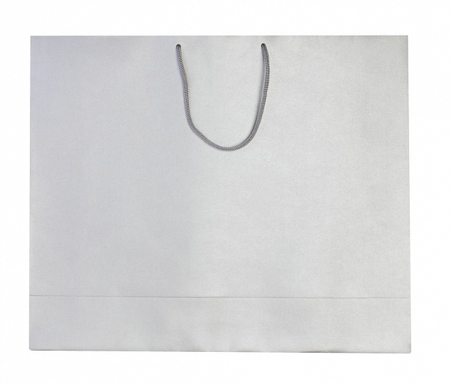 Пакет бумажный «Блеск», большой, серебристый с логотипом в Ставрополе заказать по выгодной цене в кибермаркете AvroraStore