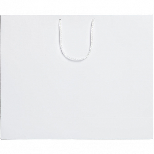 Пакет Ample L, белый с логотипом в Ставрополе заказать по выгодной цене в кибермаркете AvroraStore