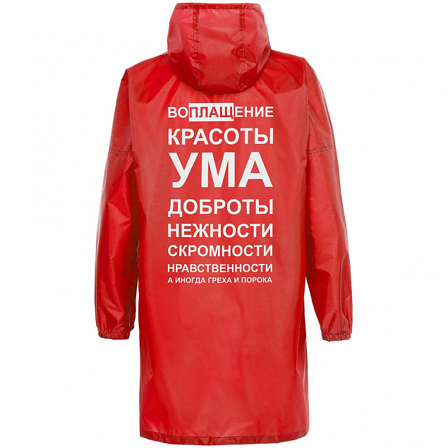 Дождевик «Воплащение всего», красный с логотипом в Ставрополе заказать по выгодной цене в кибермаркете AvroraStore