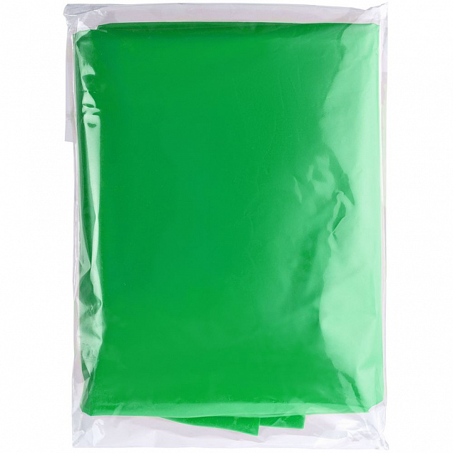 Дождевик-плащ BrightWay, зеленый с логотипом в Ставрополе заказать по выгодной цене в кибермаркете AvroraStore