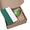 Подарочный набор LAST SUMMER: бизнес-блокнот, кружка, карандаш чернографитный, зеленый с логотипом в Ставрополе заказать по выгодной цене в кибермаркете AvroraStore
