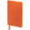 Ежедневник Shall Light, недатированный, оранжевый с логотипом в Ставрополе заказать по выгодной цене в кибермаркете AvroraStore