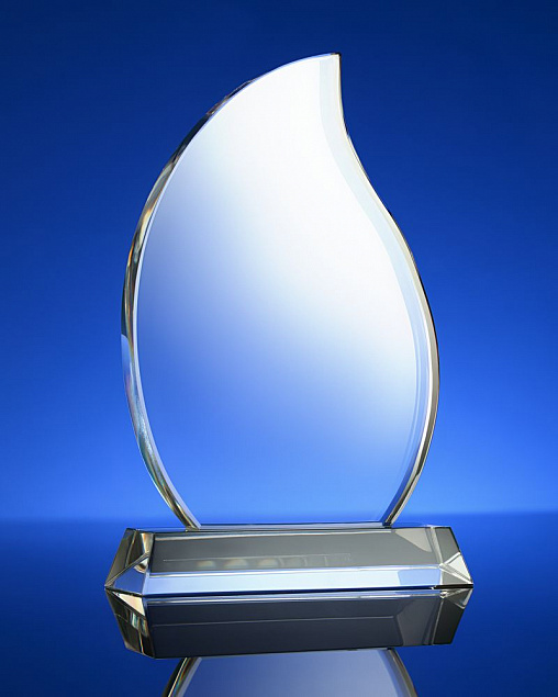 Награда Phoenix с логотипом в Ставрополе заказать по выгодной цене в кибермаркете AvroraStore