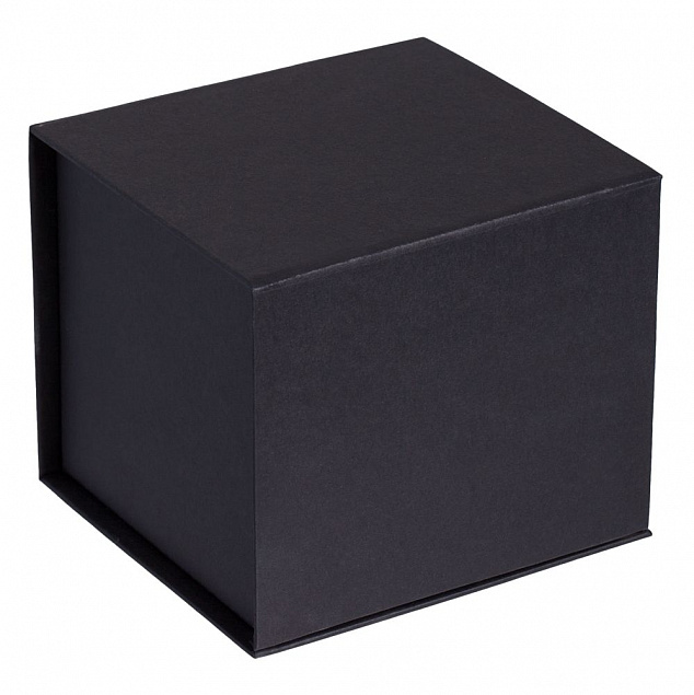 Коробка Alian, черная с логотипом в Ставрополе заказать по выгодной цене в кибермаркете AvroraStore