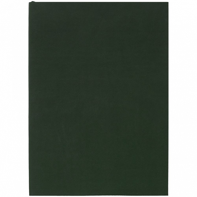 Ежедневник Flat, недатированный, зеленый с логотипом в Ставрополе заказать по выгодной цене в кибермаркете AvroraStore