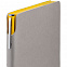 Ежедневник Flexpen, недатированный, серебристо-желтый с логотипом в Ставрополе заказать по выгодной цене в кибермаркете AvroraStore
