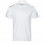 Рубашка поло Рубашка мужская 04 Белый с логотипом в Ставрополе заказать по выгодной цене в кибермаркете AvroraStore