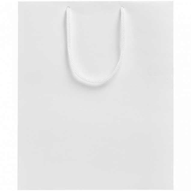 Пакет Wide, белый с логотипом в Ставрополе заказать по выгодной цене в кибермаркете AvroraStore