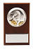 Плакетка малая «Тигр на монетах» с возможностью персонализации с логотипом в Ставрополе заказать по выгодной цене в кибермаркете AvroraStore
