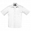Рубашка мужская BRISTOL 105 с логотипом в Ставрополе заказать по выгодной цене в кибермаркете AvroraStore