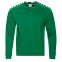 Толстовка StanSweatshirt Зелёный с логотипом в Ставрополе заказать по выгодной цене в кибермаркете AvroraStore