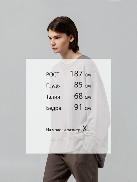 Свитшот Kosmos, серый с логотипом в Ставрополе заказать по выгодной цене в кибермаркете AvroraStore