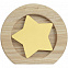 Стела Constanta Light, с золотистой звездой с логотипом в Ставрополе заказать по выгодной цене в кибермаркете AvroraStore