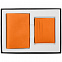 Набор Devon Mini, оранжевый с логотипом в Ставрополе заказать по выгодной цене в кибермаркете AvroraStore
