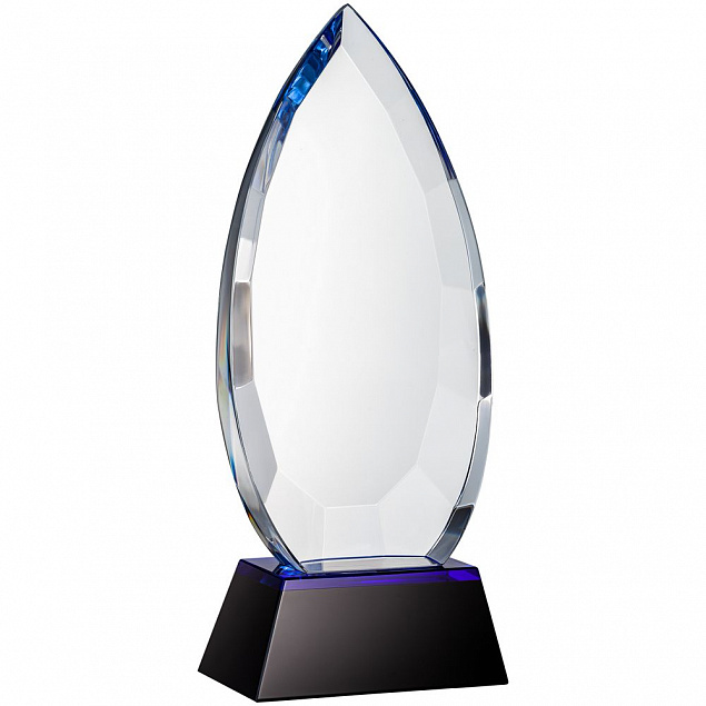 Награда Droplet с логотипом в Ставрополе заказать по выгодной цене в кибермаркете AvroraStore