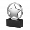 Статуэтка наградная "Звезда" с логотипом в Ставрополе заказать по выгодной цене в кибермаркете AvroraStore