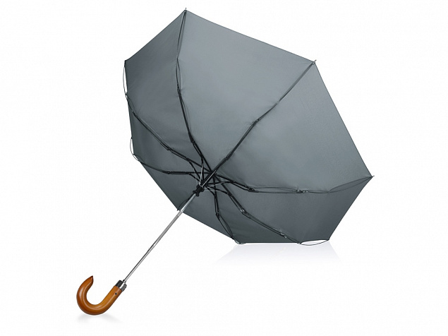 Зонт складной «Cary» с логотипом в Ставрополе заказать по выгодной цене в кибермаркете AvroraStore