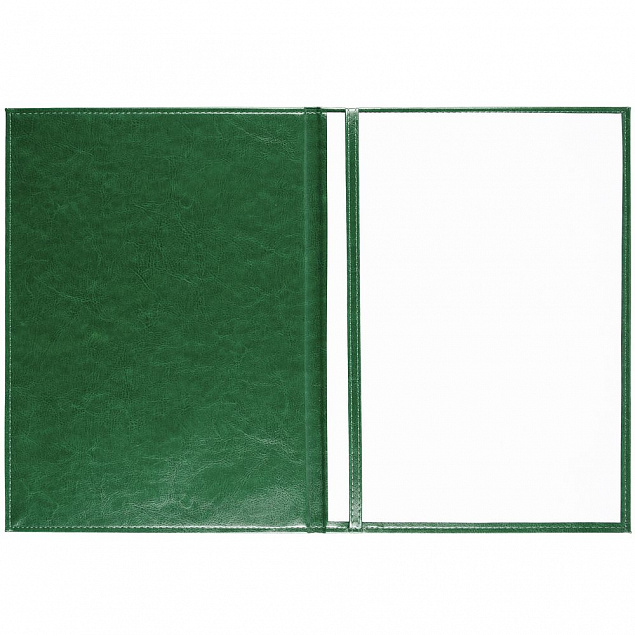 Папка адресная Nebraska, зеленая с логотипом в Ставрополе заказать по выгодной цене в кибермаркете AvroraStore