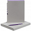 Набор Flexpen, серебристо-фиолетовый с логотипом в Ставрополе заказать по выгодной цене в кибермаркете AvroraStore