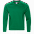 Толстовка StanSweatshirt Зелёный с логотипом в Ставрополе заказать по выгодной цене в кибермаркете AvroraStore