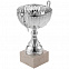 Кубок North King, средний, серебристый с логотипом в Ставрополе заказать по выгодной цене в кибермаркете AvroraStore