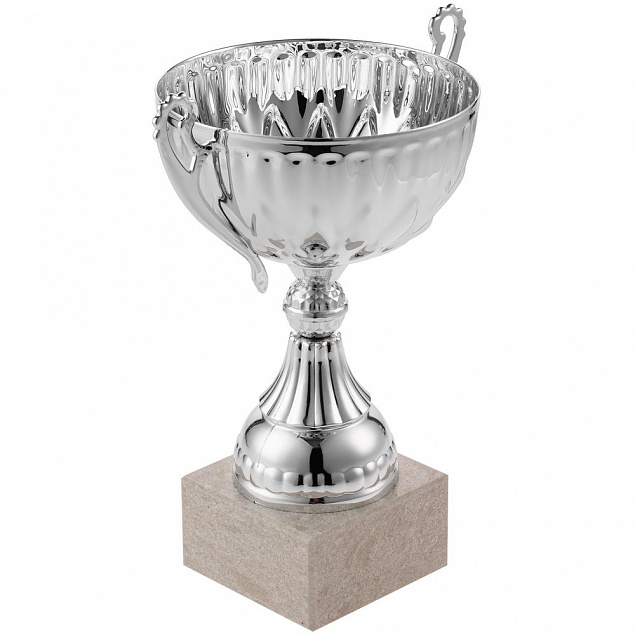 Кубок North King, средний, серебристый с логотипом в Ставрополе заказать по выгодной цене в кибермаркете AvroraStore