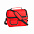 Термосумка BEMEL, красный, 25 x 24 x 15 см, полиэстер 600D с логотипом в Ставрополе заказать по выгодной цене в кибермаркете AvroraStore