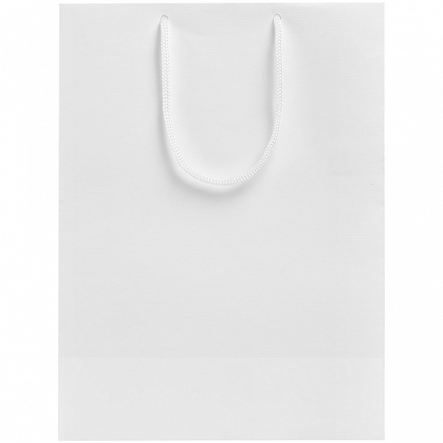 Пакет «Крафт», белый, M с логотипом в Ставрополе заказать по выгодной цене в кибермаркете AvroraStore