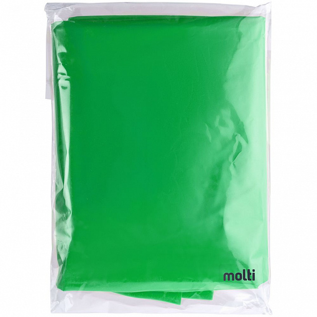 Дождевик-плащ BrightWay, зеленый с логотипом в Ставрополе заказать по выгодной цене в кибермаркете AvroraStore