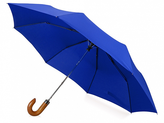 Зонт складной Cary с логотипом в Ставрополе заказать по выгодной цене в кибермаркете AvroraStore