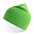 Шапка HOLLY двуслойная, пряжа Polylana®, 60% полиэстер, 40% акрил, зеленое яблоко с логотипом в Ставрополе заказать по выгодной цене в кибермаркете AvroraStore