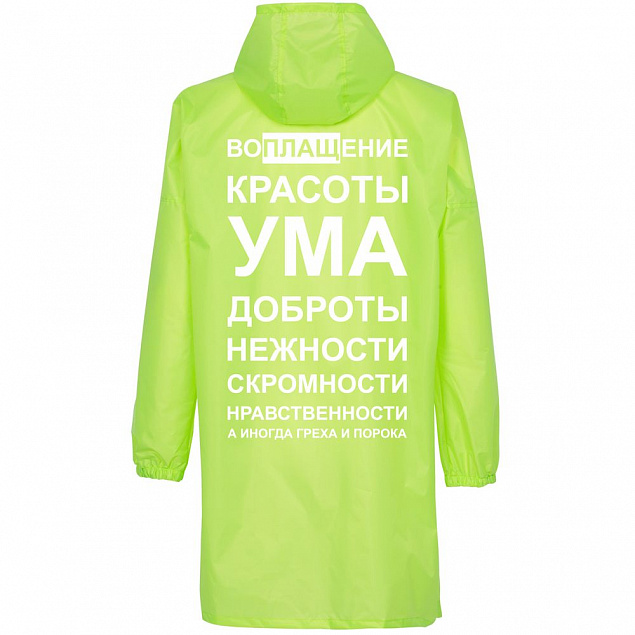 Дождевик «Воплащение всего», неоново-желтый с логотипом в Ставрополе заказать по выгодной цене в кибермаркете AvroraStore