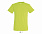 Фуфайка (футболка) REGENT мужская,Жёлтый XXS с логотипом в Ставрополе заказать по выгодной цене в кибермаркете AvroraStore