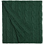Плед Stille, зеленый с логотипом в Ставрополе заказать по выгодной цене в кибермаркете AvroraStore