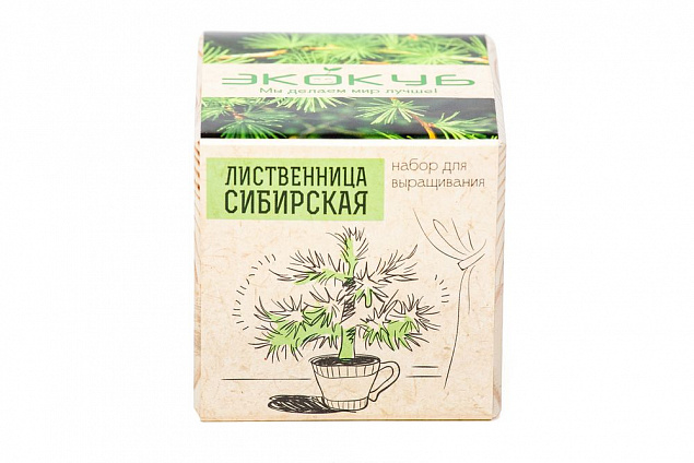 Набор для выращивания «Экокуб», лиственница сибирская с логотипом в Ставрополе заказать по выгодной цене в кибермаркете AvroraStore