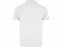Рубашка поло Austral мужская, белый с логотипом в Ставрополе заказать по выгодной цене в кибермаркете AvroraStore