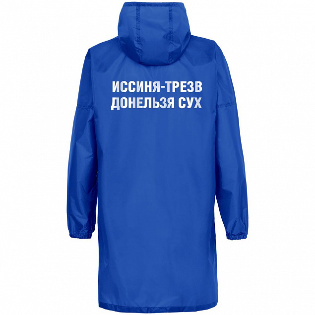 Дождевик «Иссиня-трезв», ярко-синий с логотипом в Ставрополе заказать по выгодной цене в кибермаркете AvroraStore