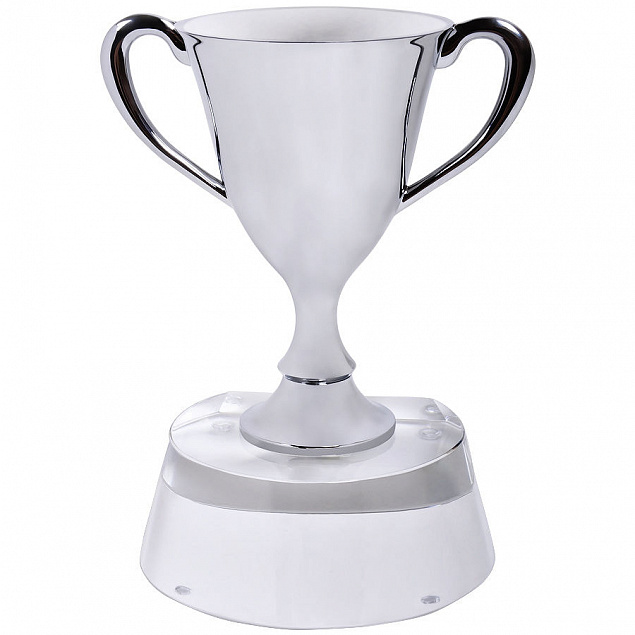 Стела  "Кубок победителя" в подарочной упаковке с логотипом в Ставрополе заказать по выгодной цене в кибермаркете AvroraStore