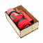 Подарочный набор Айзек, красный с логотипом в Ставрополе заказать по выгодной цене в кибермаркете AvroraStore