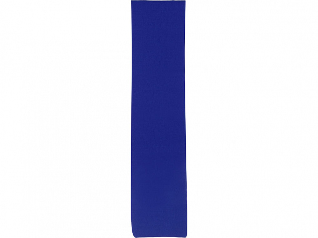 Шарф Dunant, классический синий с логотипом в Ставрополе заказать по выгодной цене в кибермаркете AvroraStore
